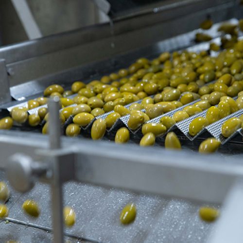 ANGELO MANCINI di Madama Oliva Produttore delle Olive del Territorio Piaceri Italiani