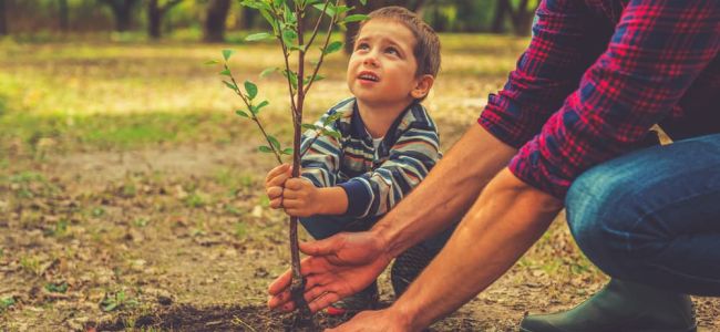 Piantare alberi per il bene della natura: come e quando piantare alberi da frutto in giardino