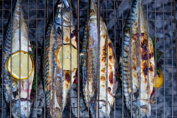Come cuocere il pesce alla griglia