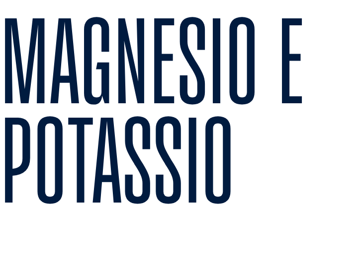 MAGNESIO E POTASSIO